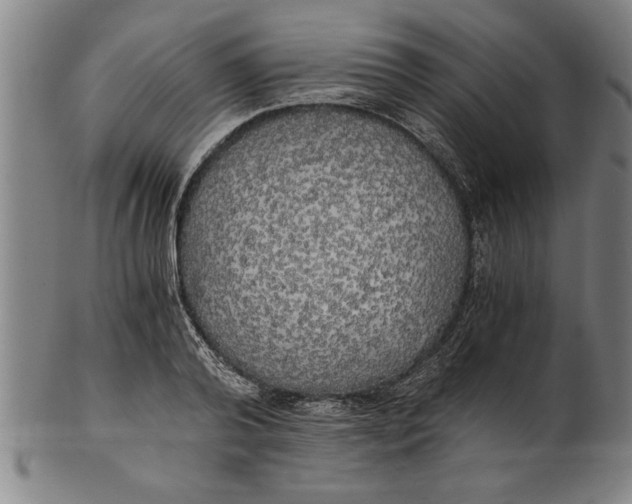 X0000101950792200808081504