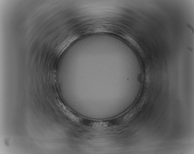 X0000101950793200808081504