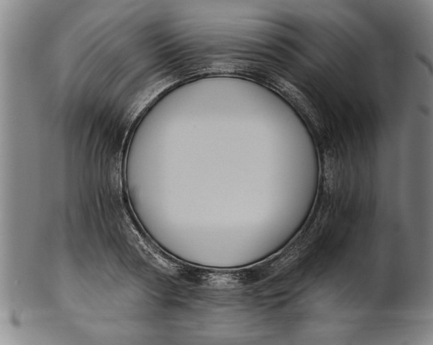 X0000101950794200808081504