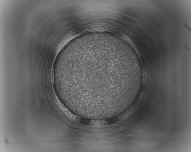 X0000101950795200808081504