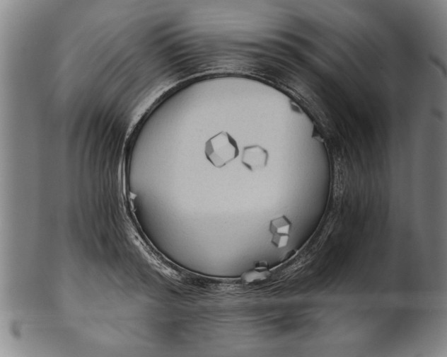 X0000101950796200808081504
