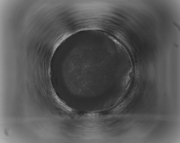 X0000101950797200808081504