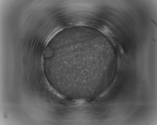 X0000101950798200808081504