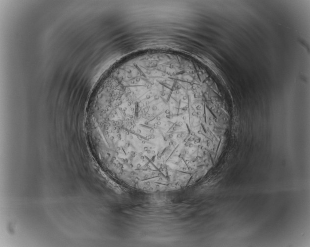 X0000101950799200808081504