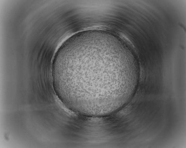 X0000101950800200808081504