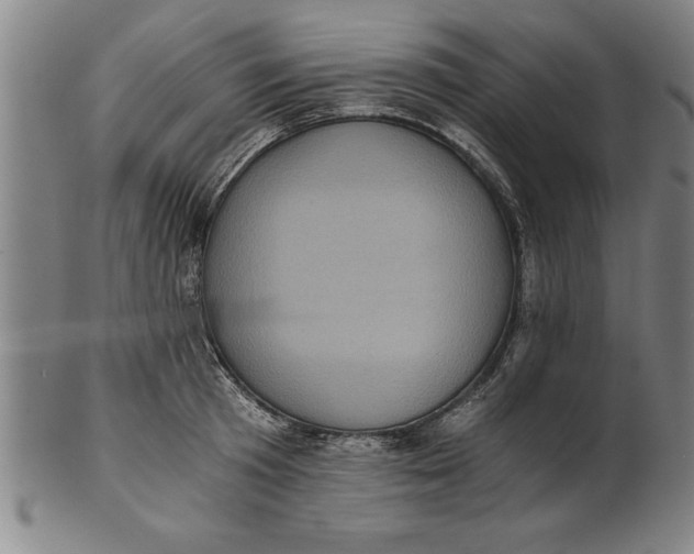 X0000101950801200808081504