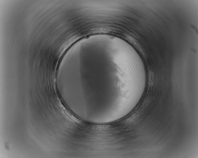 X0000101950802200808081504