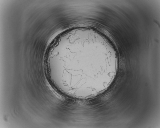 X0000101950803200808081504