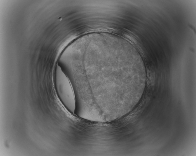 X0000101950804200808081504