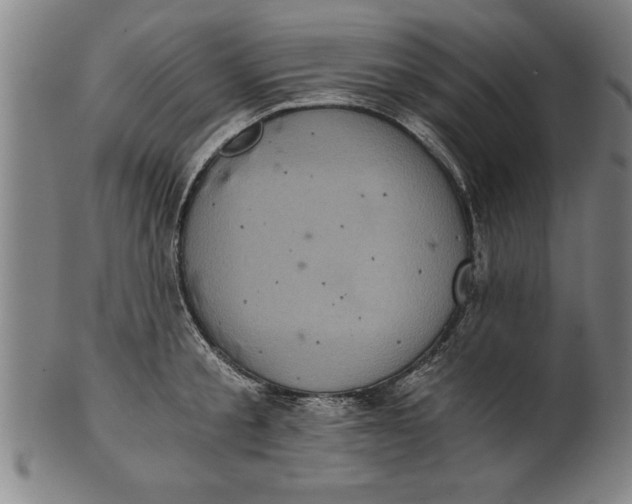 X0000101950805200808081504
