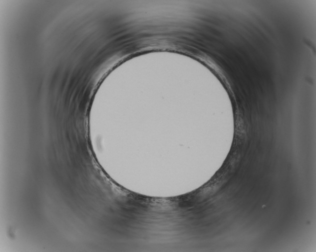 X0000101950807200808081504