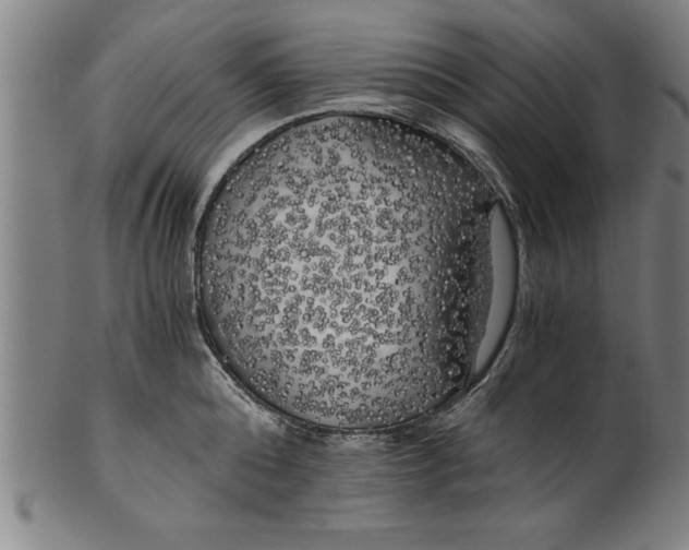 X0000101950808200808081504