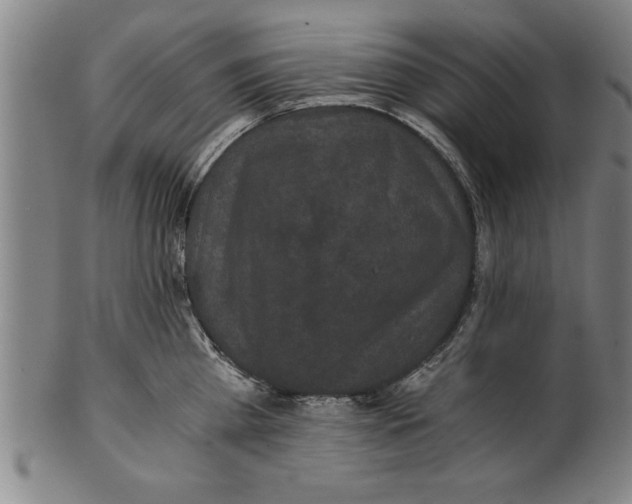 X0000101950809200808081504