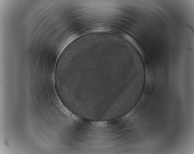 X0000101950810200808081504