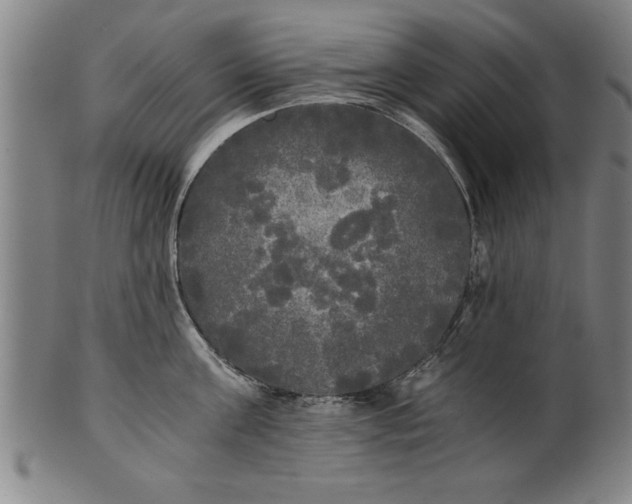 X0000101950811200808081504