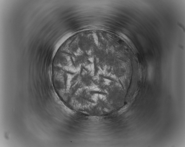 X0000101950812200808081504