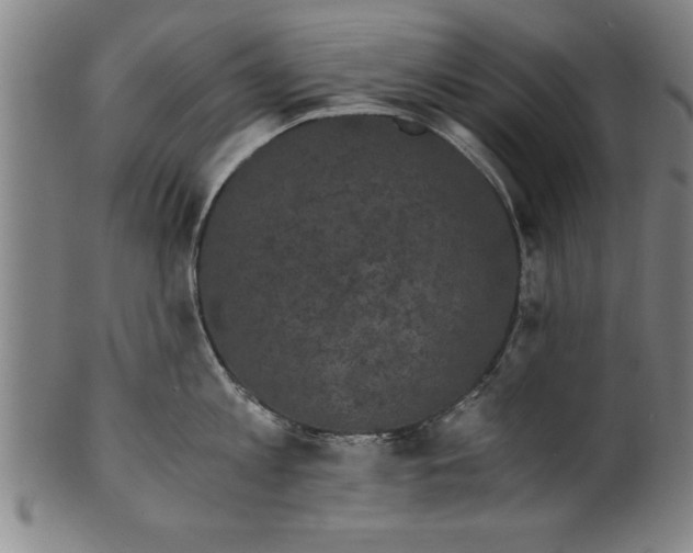X0000101950813200808081504