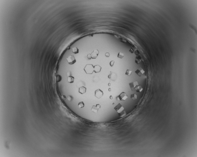 X0000101950814200808081504