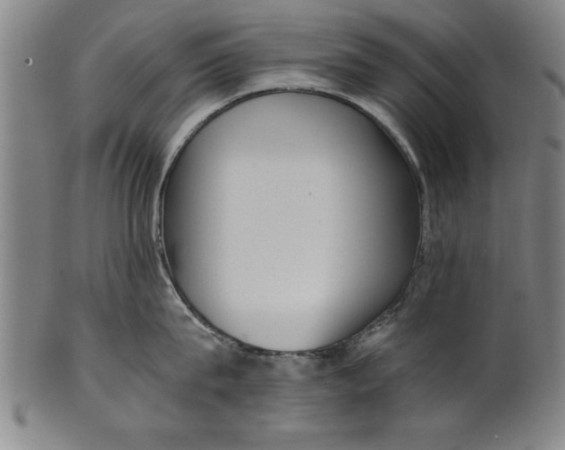 X0000101950815200808081504