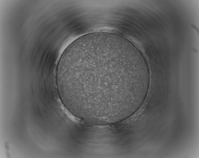 X0000101950816200808081504