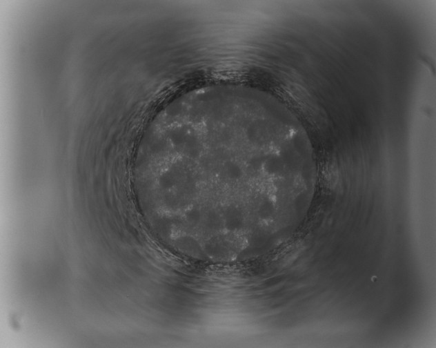 X0000101950817200808081503