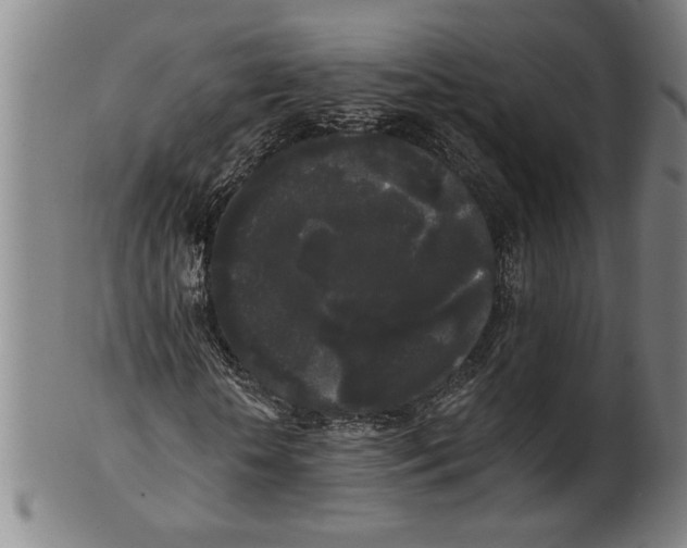 X0000101950818200808081503