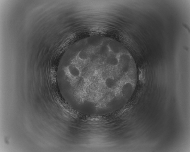 X0000101950819200808081503