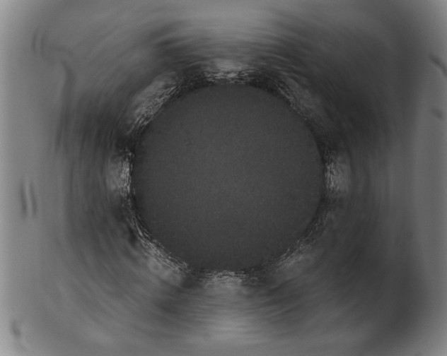 X0000101950820200808081503