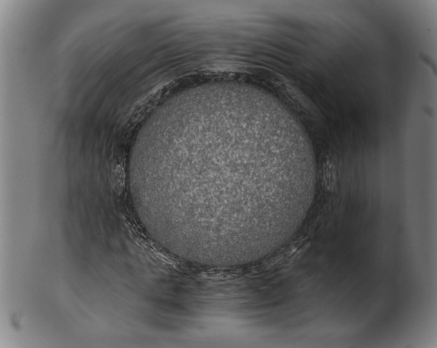 X0000101950821200808081503