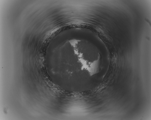 X0000101950822200808081503