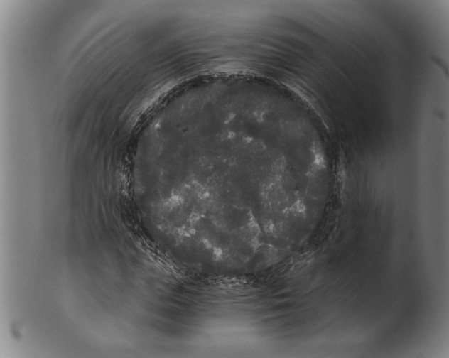 X0000101950823200808081503