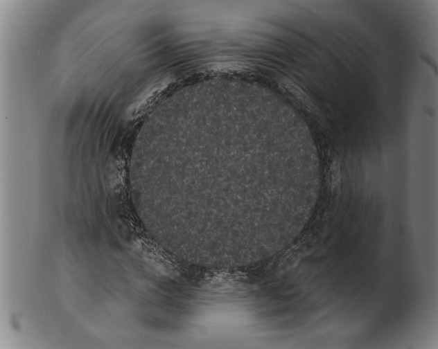 X0000101950824200808081503