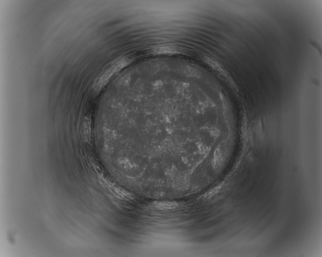 X0000101950825200808081503