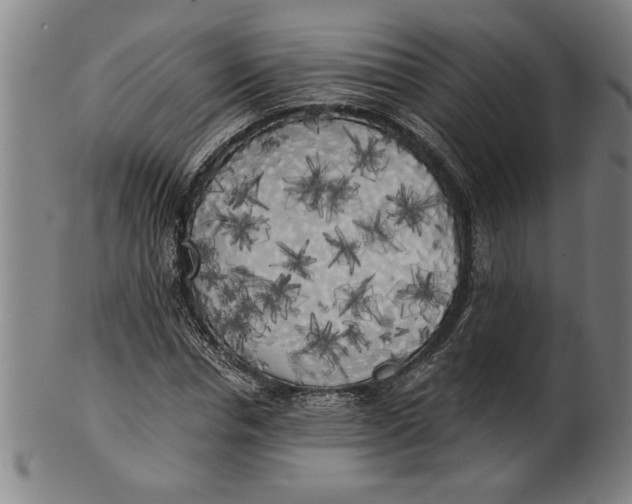 X0000101950826200808081503