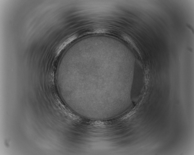 X0000101950827200808081504