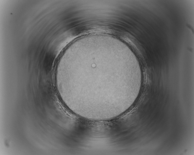 X0000101950828200808081504