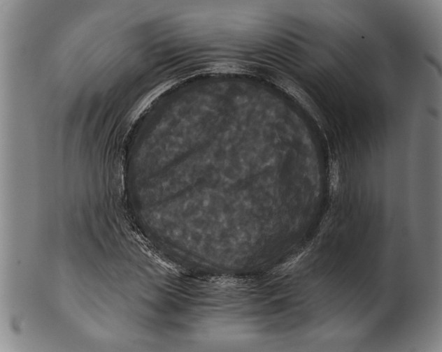 X0000101950829200808081504