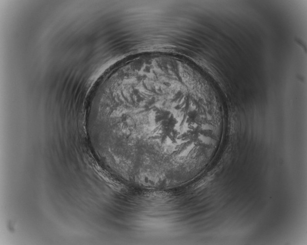 X0000101950830200808081504