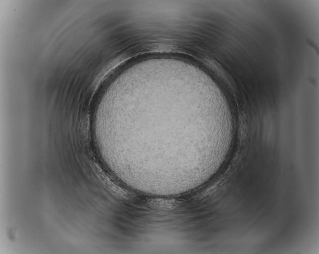 X0000101950831200808081504