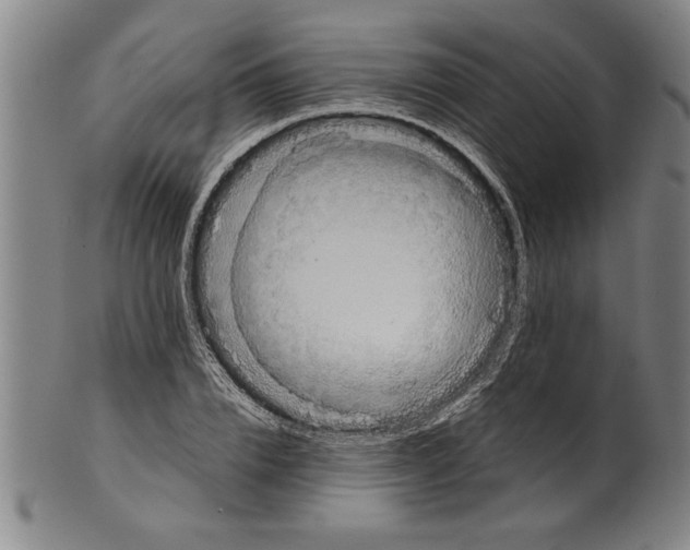 X0000101950832200808081504