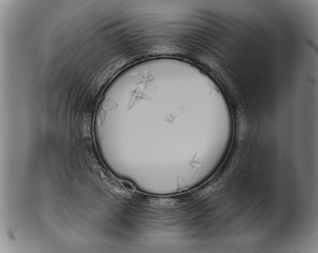 X0000101950833200808081504
