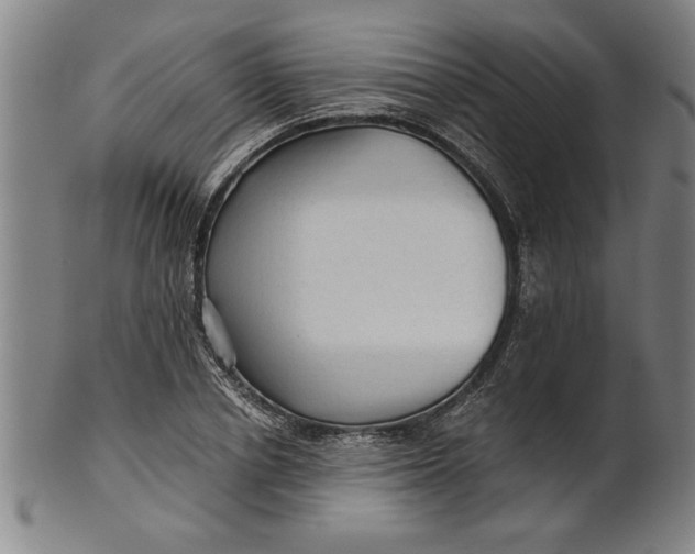X0000101950834200808081504