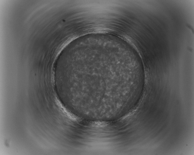 X0000101950835200808081504