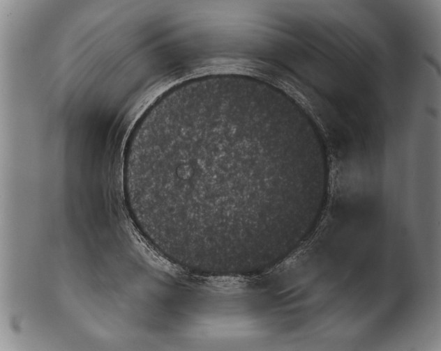 X0000101950836200808081504