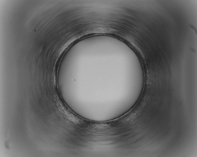 X0000101950837200808081504