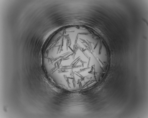 X0000101950838200808081504