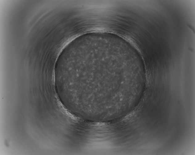 X0000101950839200808081504