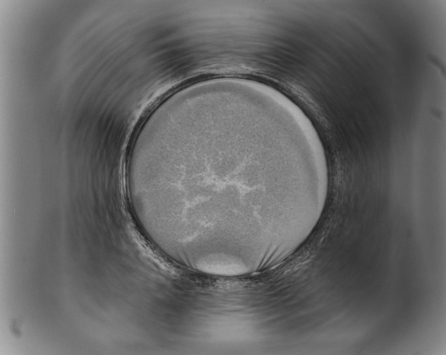 X0000101950840200808081504