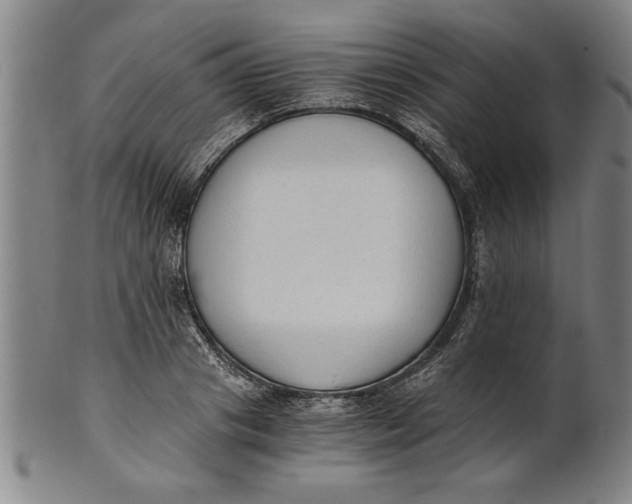 X0000101950841200808081504