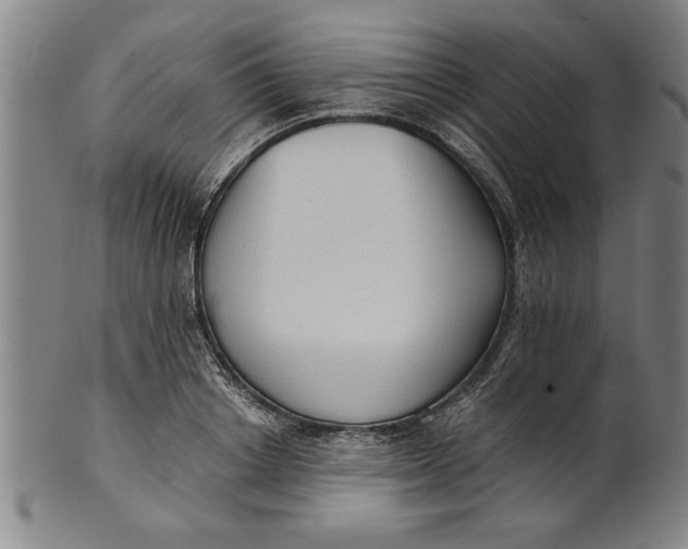 X0000101950842200808081504